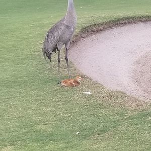 Meet your Posher, Jeff